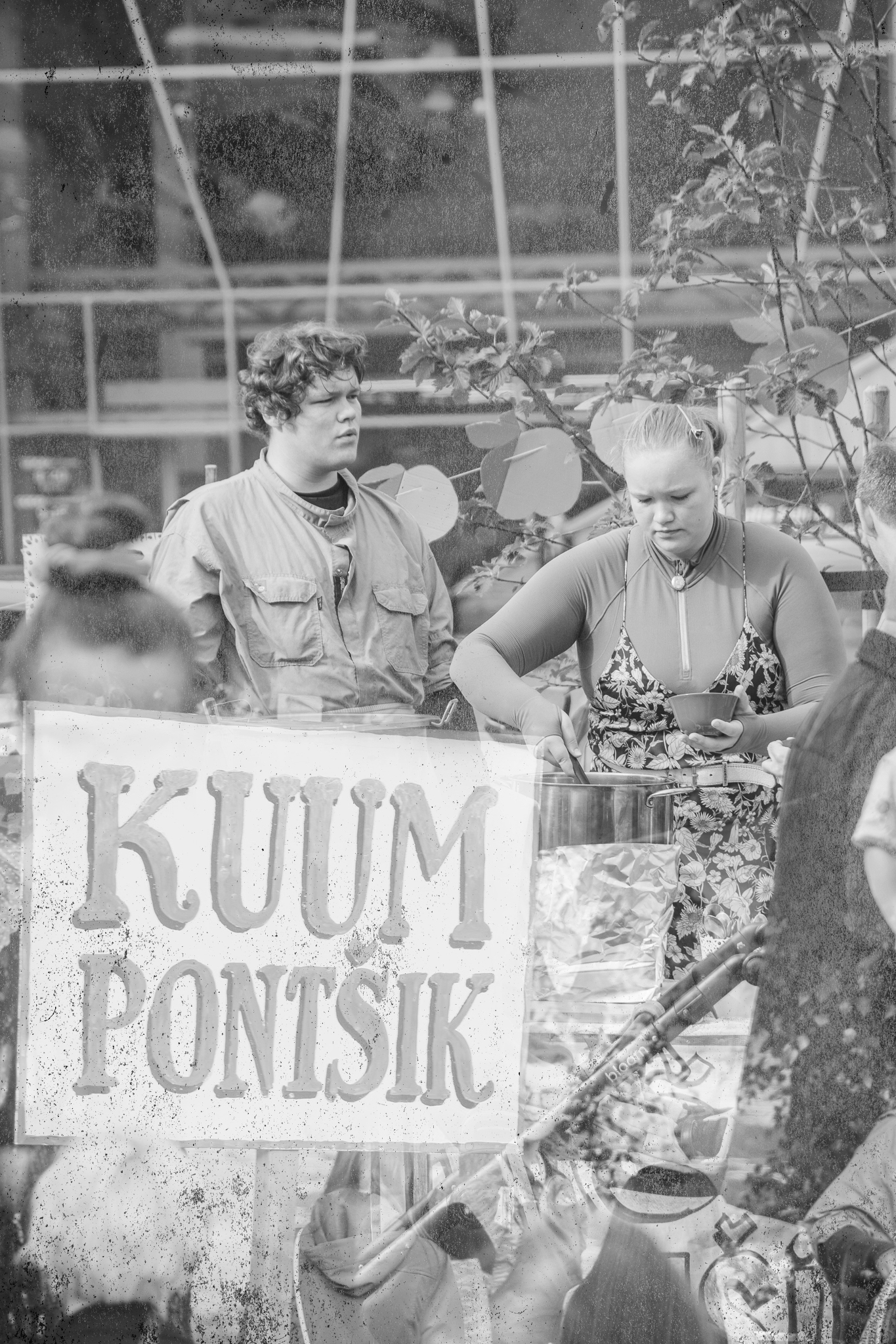 krõbe pontšik